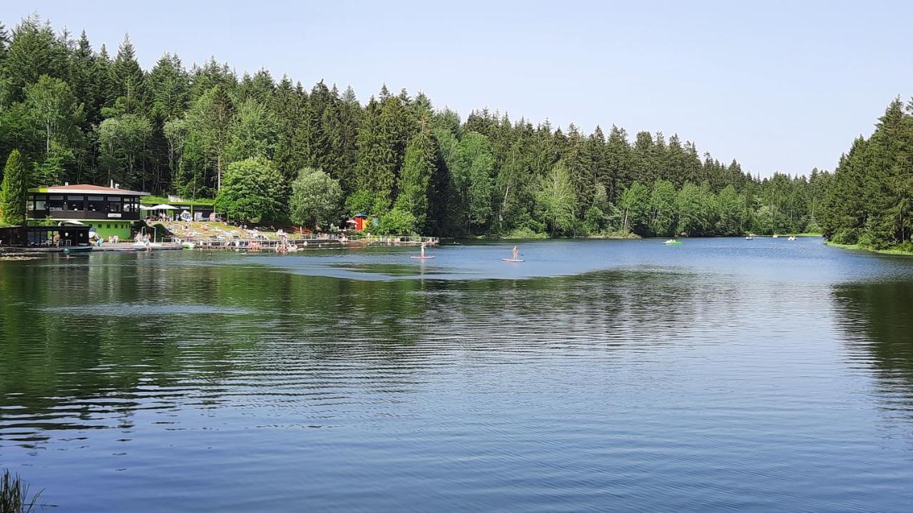 Fewo Nina Exklusiv Design Mit Bergblick Goslar Eksteriør billede